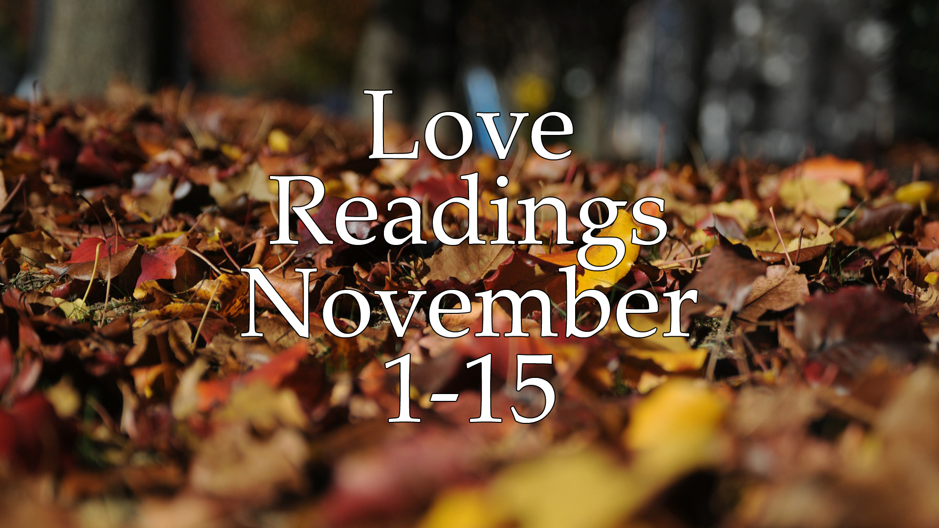 Love Readings November 1-15